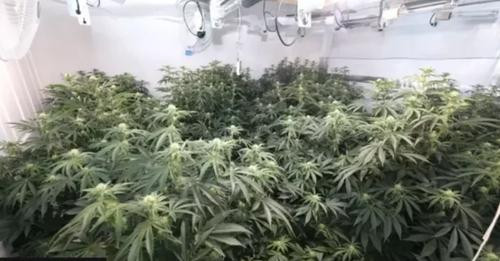 14567399608959987542?url=https%3A%2F%2Fshqiperia ime.com%2Fwp content%2Fuploads%2F2024%2F07%2Fdownlo.jpg