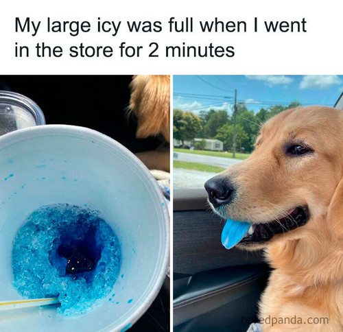 428502173 778767607619508 8145065073203288318 n.jpg