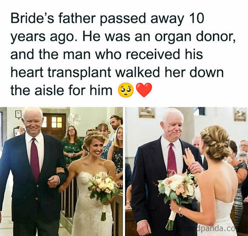 429984852 778198207676448 8039090588813131678 n.jpg