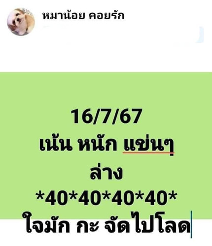 43.jpg