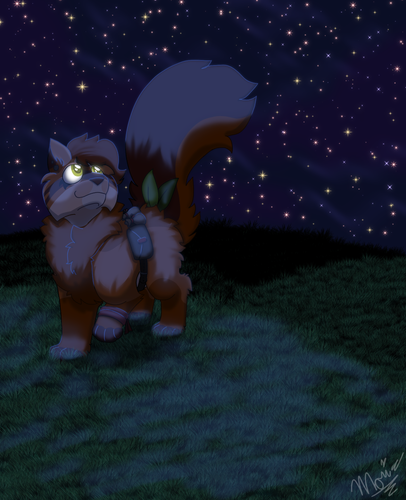 What a Wonderful Night 20240704212957.png