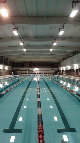 louispietsch 36677 olympic size competition and trainings swi 80080d1c afcb 4e9e 8daa fb58bfdefe9a 2.png