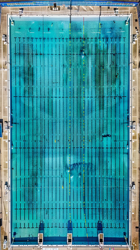 louispietsch 36677 olympic swimming pool size ar 916 1e0cf74c 3d4f 410f a62b fda36f8a3676 0.png