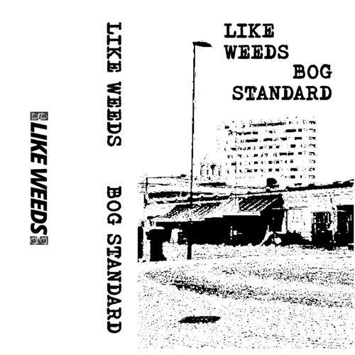 a819fdf5bebbb612ad43a54b65fec571.webp