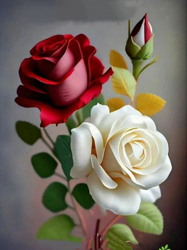 images%2Fimage 1720711473417.jpg