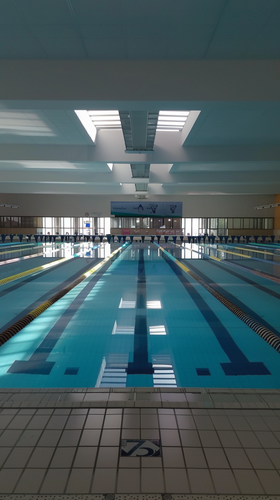 louispietsch 36677 competition and trainings pool ar 916 4af282b1 a587 423e 8a52 86f77752980d 2.png