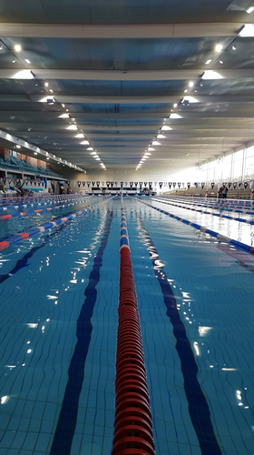 louispietsch 36677 competition and trainings pool ar 916 5c3b2121 9c3a 4ef3 b09b 5edf239737fa 2.png