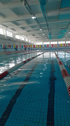 louispietsch 36677 competition and trainings pool ar 916 5c3b2121 9c3a 4ef3 b09b 5edf239737fa 1.png