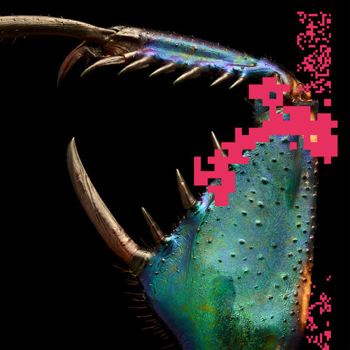 ab67616d0000b273b79edb9cf446fae8b7523a7f.jpg