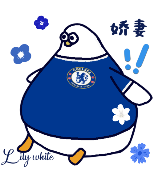 IMG 9873.png