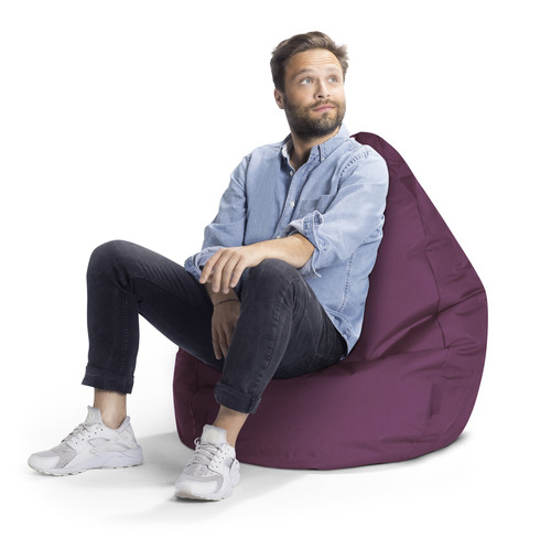 Brava Purple Model 1.jpg