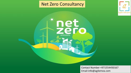 11.7.24nzconsultancy.jpg