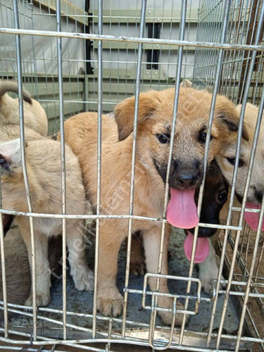 vdrXo 7Xn2mHlJB0TCQBwK2m10AXHTBmmjeYiHkPavtcwy4m7HOb9LNGHgW5Kxarn4q47d7u6OaX9wU4SAc7xb91rwsHNYedjoAY.jpg