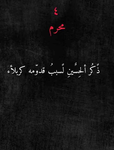 49E5755A DA1F 42BC AA56 6D2E8C6AEC71.jpg