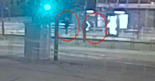 540325420986271365?url=https%3A%2F%2Fimg s msn com.akamaized.net%2Ftenant%2Famp%2Fentityid%2FBB1pMLB.jpg