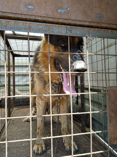 T2 f8UziKFpzIPG6 lVCO5rAqLYXfsjG0J erkh8KVHTuGgaZa eBuU3 aGWY7jfV14L4YnemvpTT FZt5B ZLxmnbUDlkAOh3KR.jpg