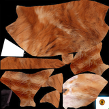 ormncn M.png