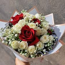 téléchargement 2024 07 11T230511.756.jpg