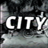 standard (3).gif