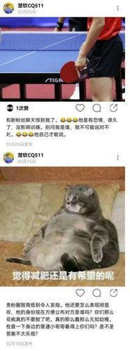 0B36713D 28DE 4406 8310 BB4498DD21C4.jpg