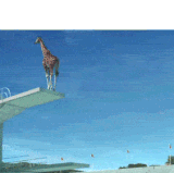 giraffe dive.gif