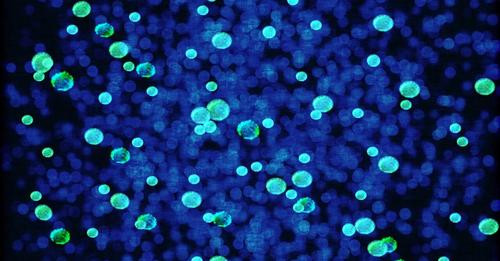 12708258865660544867?url=https%3A%2F%2Ffiles.socy.cloud%2F 20%2F202208%2Fgenerado 1660048688 p4 j8qr.jpg