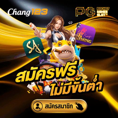 project chang promotion.gif