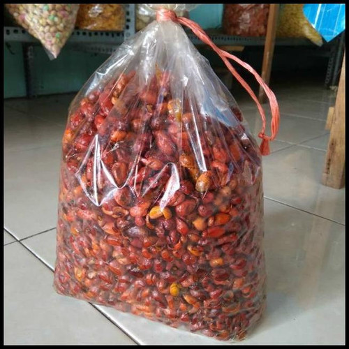kulit mlinjo.jpg