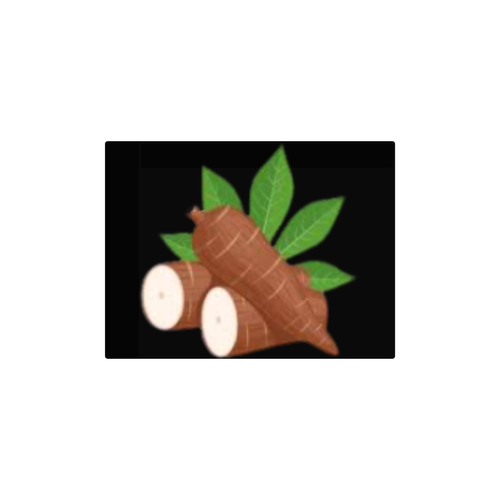 fundo.png