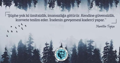 450472806 18422628157070714 2991104339911131597 n.jpg?stp=dst jpg s960x960& nc cat=110&ccb=1 7& nc s.jpg