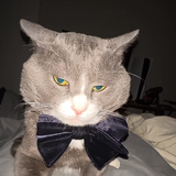 chrome 1OpE6VYh3i.png