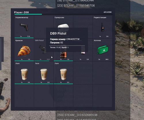 FiveM b2802 GTAProcess T5mbgiKHOB.jpg