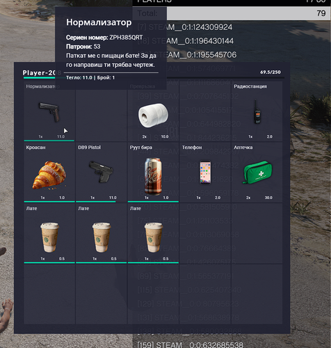 FiveM b2802 GTAProcess B4rRDjpvE8.png