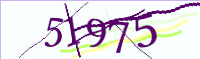 captcha.png