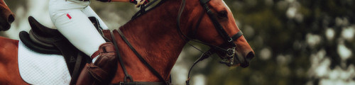 chino rocha V3r M7llSpg unsplash 2 scaled q49ngaivoydw3fxbya2dcb2b35yo8fdk8kmnohez6w.jpg