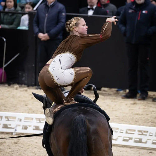 EQUINE VOLTIS38Longines CHI Classics Basel World Cup#swissvaultingfederation