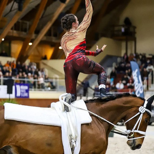 EQUINE VOLTIS38g @laura.pphotography