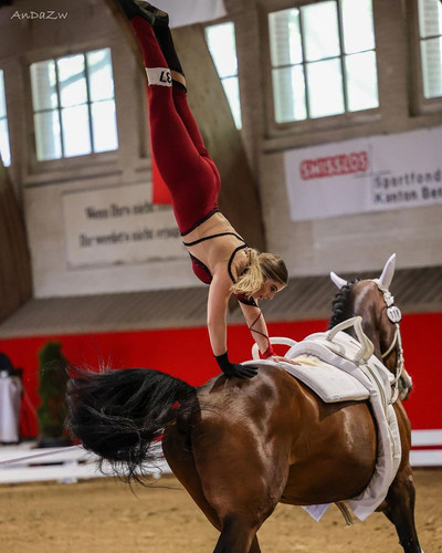 EQUINE VOLTIS38@voltige bietenholz