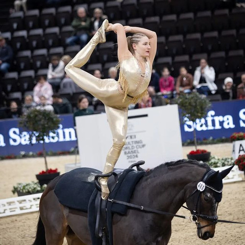 EQUINE VOLTIS38@voltige.ch