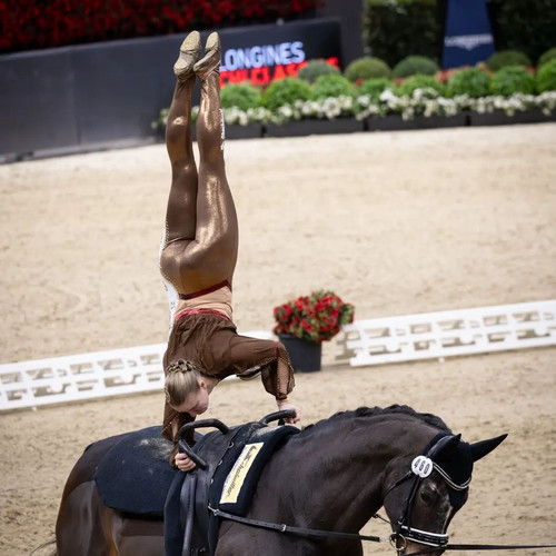 EQUINE VOLTIS38Longines CHI Classics Basel World Cup
