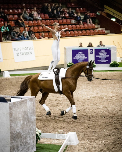 EQUINE VOLTIS38h @laura.pphotography