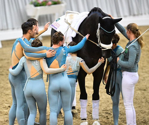 EQUINE VOLTIS38i @teamnorka