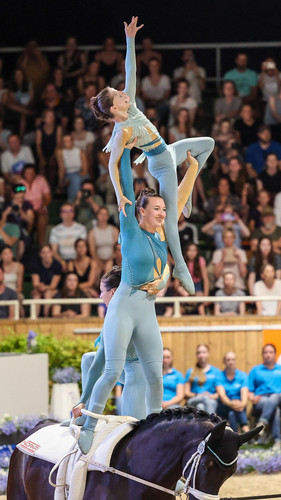 EQUINE VOLTIS38i @teamnorka