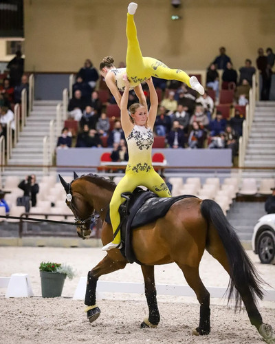 EQUINE VOLTIS38f #cvisaumur2024