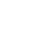 vip.png