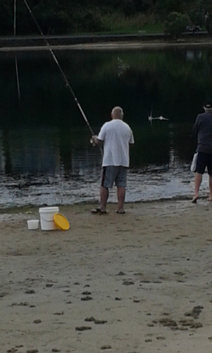 20150715 150445.jpg