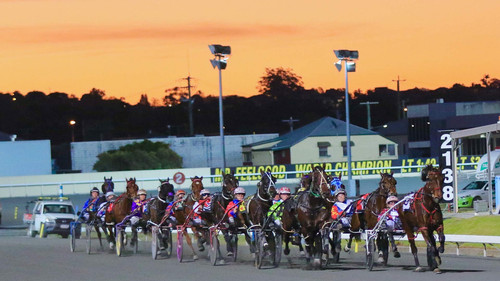 Pace With Mates Pty Ltd is the first and only approved licensed  standardbred syndicator in Queensland, Representative Number 001309204 and is registered and regulated by ASIC.
Whilst making ownership affordable , Pace With Mates must abide by the rules of QRIC and ASIC , full disclosure of costs are proved to purchasers and separate bank accounts are held for each horse . Full transparency is provided to Syndicate Members.
Pace With Mates will partner  with leading breeders to select blue blood yearlings with as many state based racing bonuses as possible to maximise prize money earnings.
Each horse is then matched with the most suitable trainer to perform to its maximum potential.
Pace With Mates also wants to ensure the best care for its horses and regular welfare checks are made to ensure each horse is well looked after.
Once a horse has finished its racing career Pace With Mates will work with leading organisations in re-homing to ensure our horses have happy lives.

https://pacewithmates.com.au/