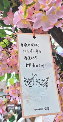 BF452DFE 6DD9 4D38 A248 50870BDA8754.jpg