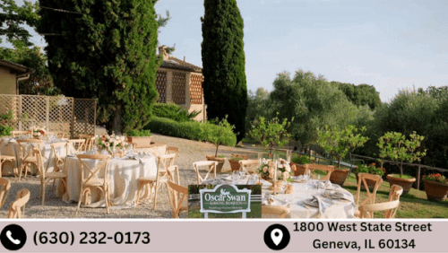 Perfect Wedding Venue in Geneva: Oscar Swan.gif