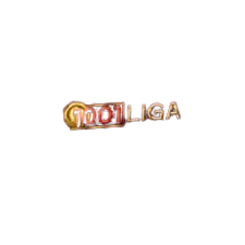 logo1001 removebg preview.png